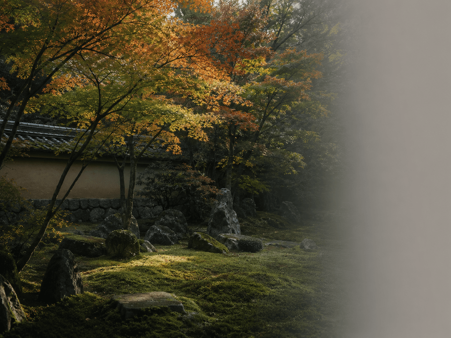 Kyoto forest, autumn
