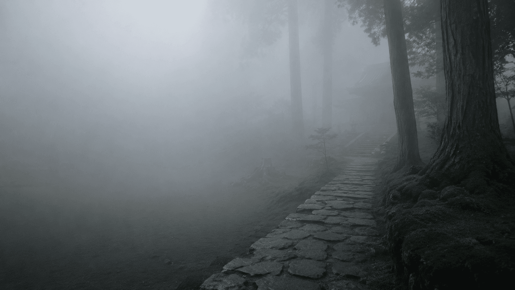 Wellness retreat at dawn — a restorative MERIDIAN journey