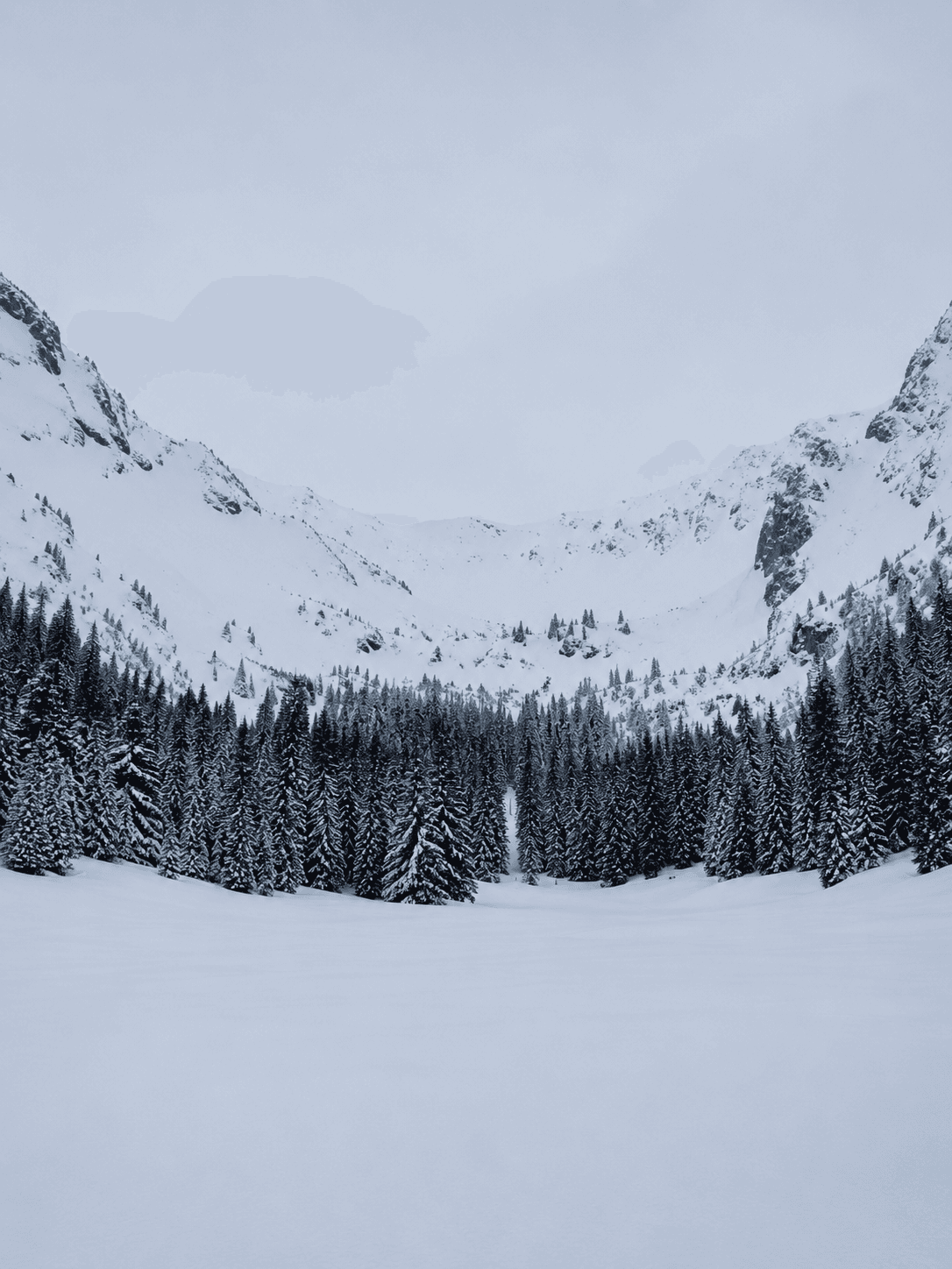 The Alpina Gstaad